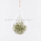 detail image3 Beautiful Air Plants Hanging Terrarium Set " Spanish Moss " Joinflower Joinfolia
