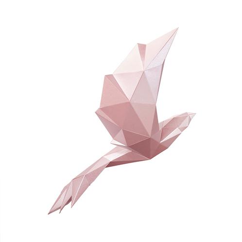 Bird - Paper interior