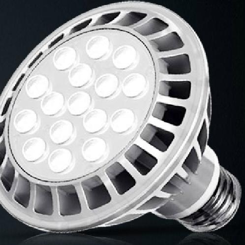 REPLACEMENT OF HALOGEN LAMP PAR30