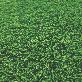 detail image1 Artificial Turf [DEKS20]
