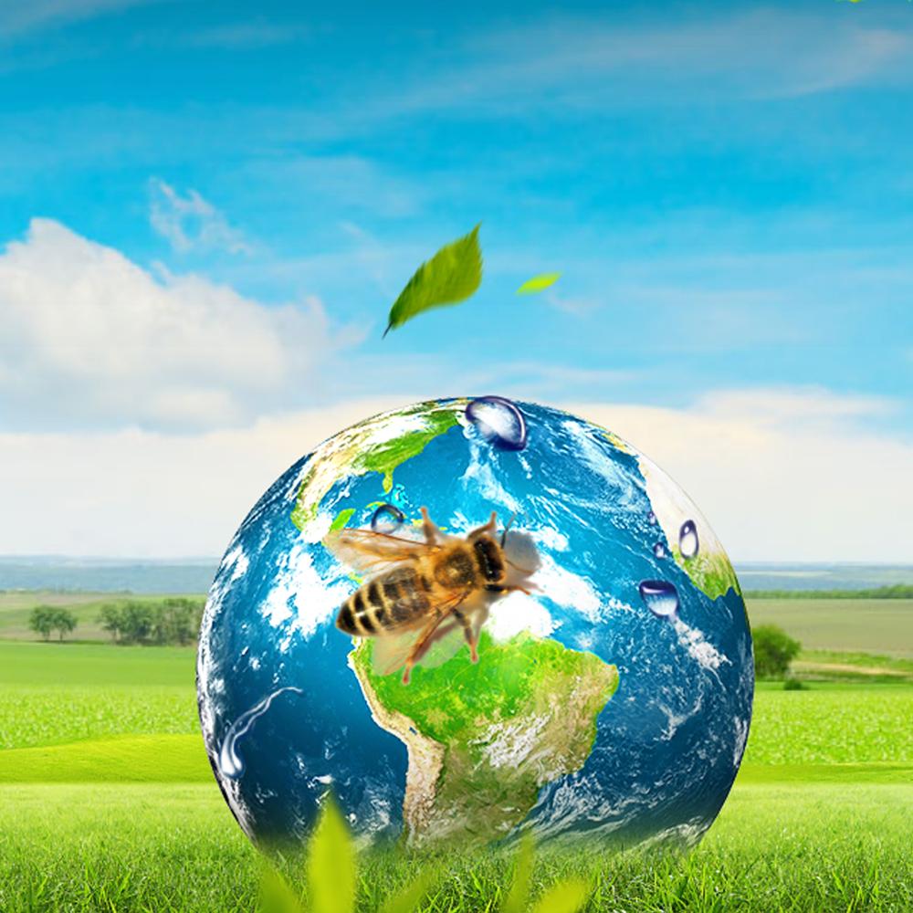 Unique Water-Soluble Honey Propolis