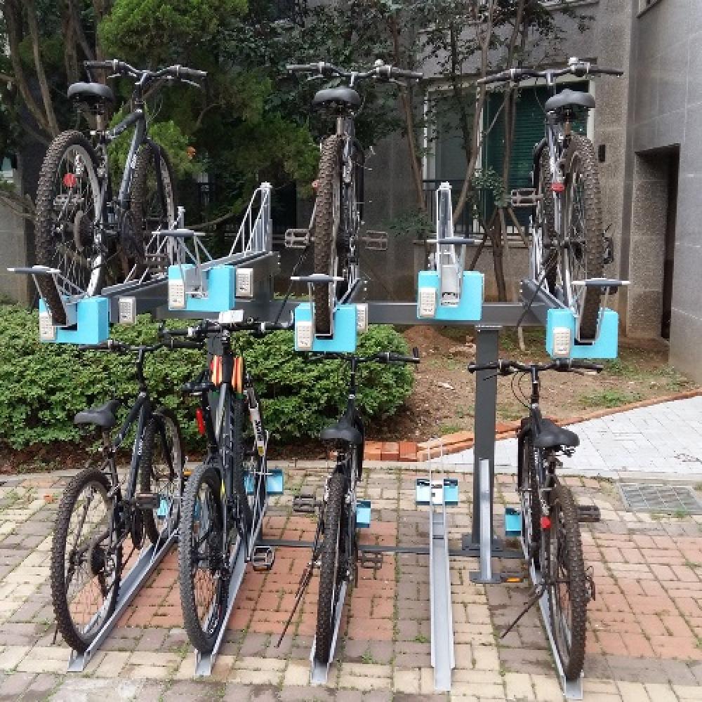Bicycle theft (loss) protection device