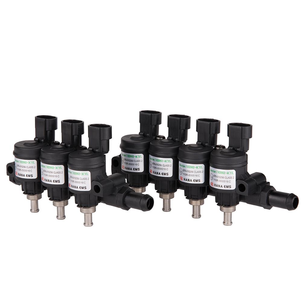 LPG CNG injector for passenger car (H2002)