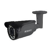 IP type Flame Detection Camera