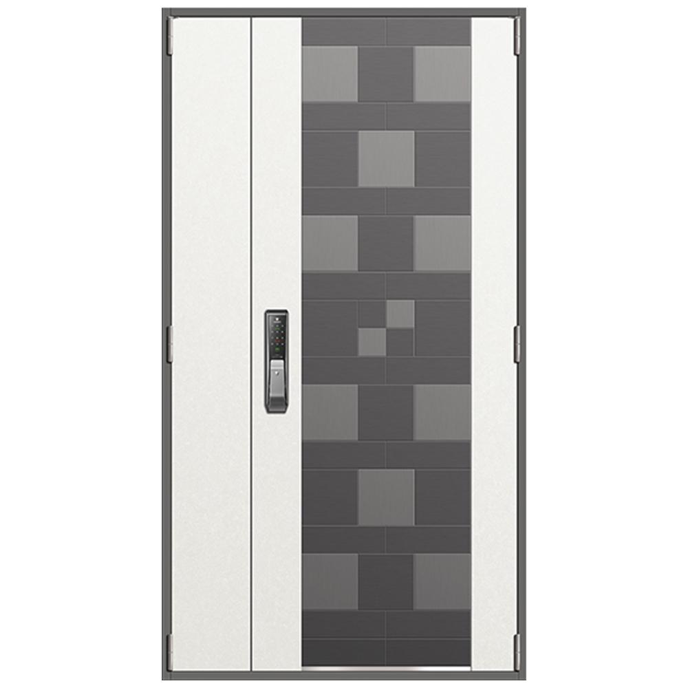 Fire Steel Door(FD 9846 H)
