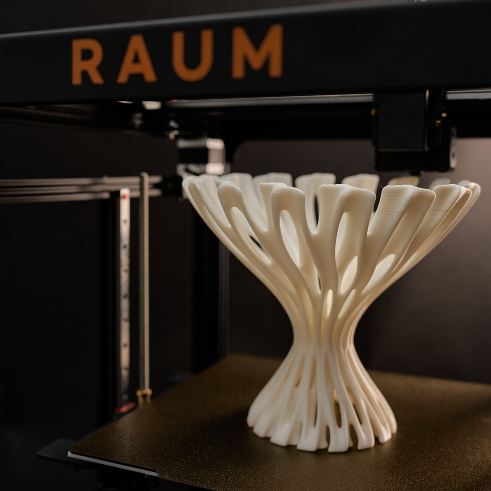 RAUM 300 Pro+ 3D PRINTER