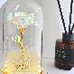 detail image1 LED flower road Aurora rose glass dome mood light lover's gift