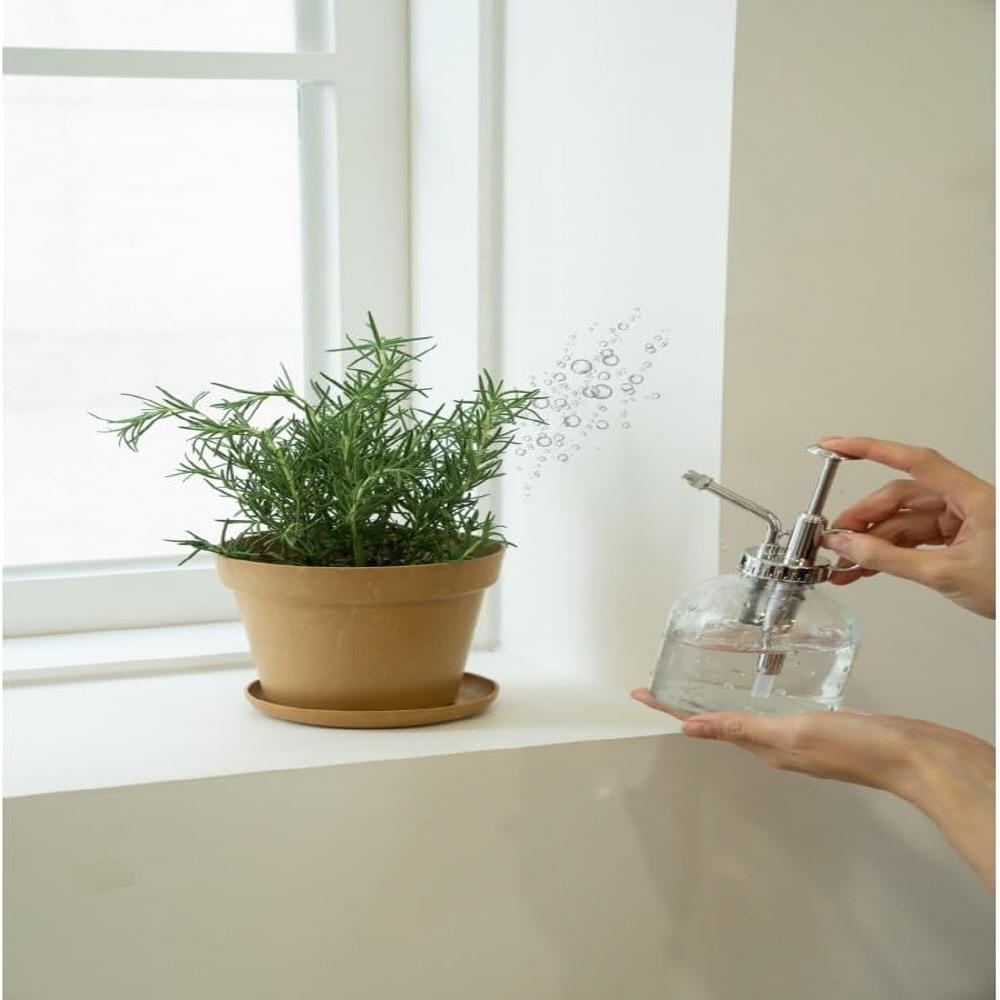 Freefactory Flower Plant Pot with Drainage Holes and Saucer Tray(Medium/Ivory)